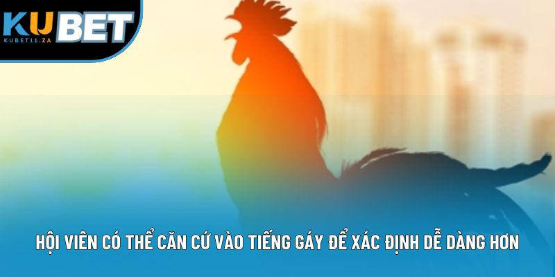 Hội viên có thể căn cứ vào tiếng gáy để xác định dễ dàng hơn Hội viên có thể căn cứ vào tiếng gáy để xác định dễ dàng hơn