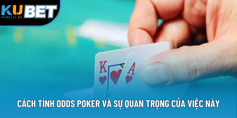 Cách tính odds Poker và sự quan trọng của việc này Cách tính odds Poker và sự quan trọng của việc này