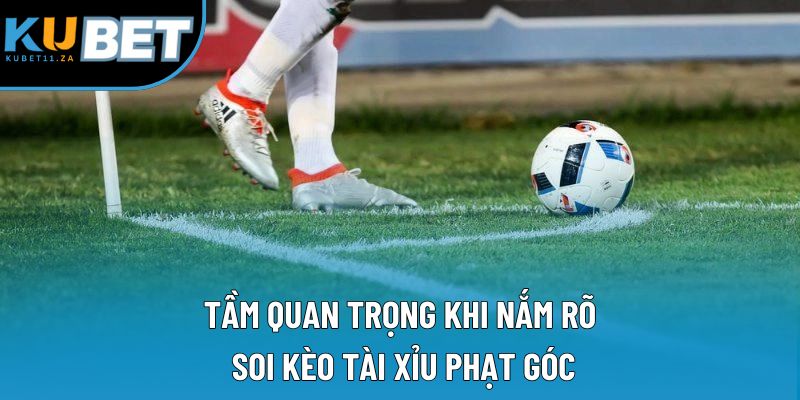 Tầm quan trọng khi nắm rõ soi kèo tài xỉu phạt góc Tầm quan trọng khi nắm rõ soi kèo tài xỉu phạt góc